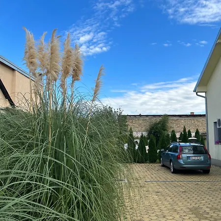 Nest Zen Garden * נובי סאד